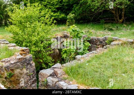 Les ruines de Hollinshead Hall, Tockholes, Lancashire. Banque D'Images