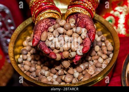Mains de mariée avec Mehendi coloré tenant une poignée de noix de bétel, noix de bétel Background.Supari Banque D'Images