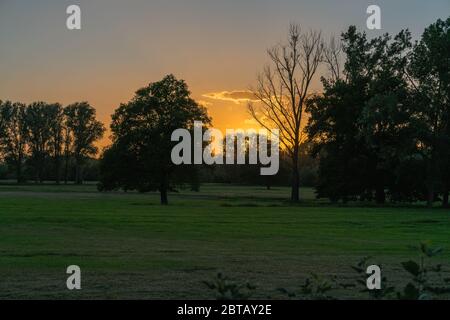 Le coucher de soleil derrière les arbres dans une plaine inondable baigne le paysage dans la lumière chaude du soir. Banque D'Images