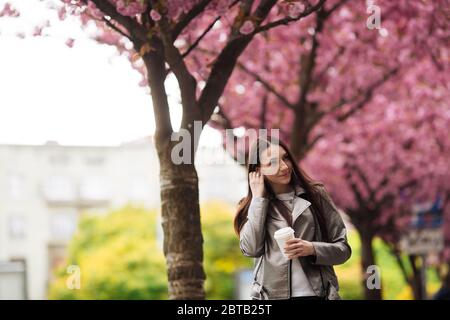 brunette fille en veste et jeans au printemps en plein air dans la ville avec le décor des arbres en fleurs sakura posant Banque D'Images