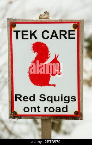 Panneau d'avertissement des écureuils rouges sur la route en utilisant le dialecte local, Cotterdale près de Hawes, Yorkshire Dales National Park, Royaume-Uni Banque D'Images