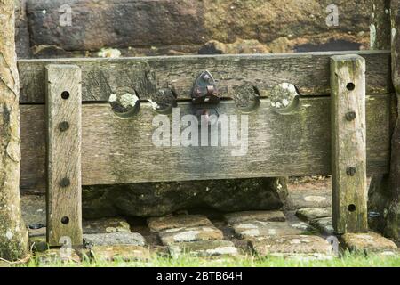 Vieux stocks et la souche d'une croix sur le village vert à Bolton-by-Bowland dans la forêt de Bowland, Lancashire Banque D'Images