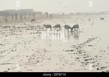 Yoff Beach, un site de pêche artisanale et un quartier côtier très peuplé à Dakar, Sénégal Banque D'Images