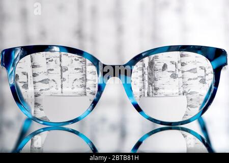 Lunettes de vue avec Bifocal et Black Blue cadre bavette agaist bouleaux arbres. Concept de vision floue Banque D'Images