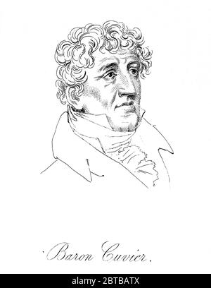 1830 CA, FRANCE : l'anatomiste et paléontologue français Baron GEORGES CUVIER ( 1769 - 1832 ) . Portrait gravé par graveur inconnu. - ZOOLOGISTE - ZOOLOGO - ZOOLOGIA - FOSSILIAIRE - FOSSIOLI - ZOOLOGIE - BIOLOGIA - BIOLOGIE - BIOLOGO - BIOLOGISTE - PALEONTOLOGO - PALEONTOLOGIA - ANATOMIE - ANATHOMY - ANATOMISTE - ANATOMISTA - HISTOIRE - FOTO STORICA STORICHE - SCIENTIFIQUE - PORTRAIT - DRITOTORO - MÉDECIN - DRITTO - DRITOTORO - DRITOTORO - MEDICINA - médecine - SCIENZA - SCIENCE - DOTTORE - MEDICIAN - illustrazione - illustration - gravure - incisione - collier - colletto - Archivio GBB Banque D'Images