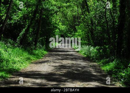 Derwent Walk, Derwent Countryside Park, Swalwell, Gateshead, Royaume-Uni Banque D'Images