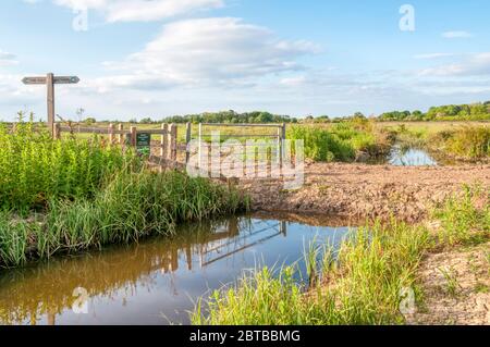 Un sentier traversant les terres humides récupérées sur la rive est de la Lash, dans le Norfolk occidental. Banque D'Images