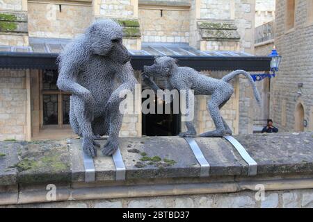 Tour de Londres à Londres, Angleterre Banque D'Images