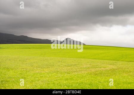 La CAMPSIE Fells avec le sommet de Dumgoyne sur la droite, Écosse, Royaume-Uni Banque D'Images