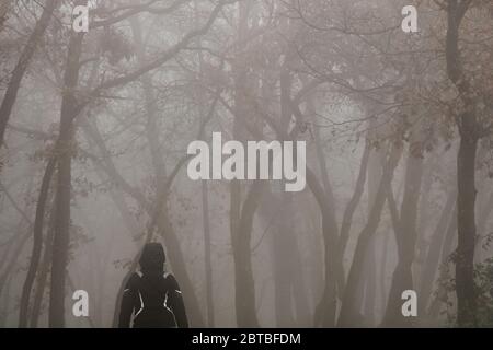 Fille marchant parmi le brouillard et les arbres dans une forêt sombre Banque D'Images