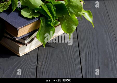 Vieux livres avec branche verte sur fond en bois noir. Espace de copie libre. Banque D'Images