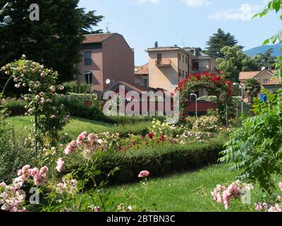 parc de la ville luxuriant orné d'une floraison estivale abondante Banque D'Images