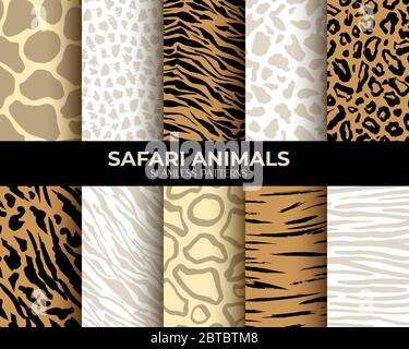 Motifs sans couture de l'imprimé animal fourrure avec texture, léopard, tigre et zébra sans coutures vecteur abstrait ensemble. Fourrure d'animaux africains, motifs de peau d'animaux, jaguar brune, girafe, panthère Illustration de Vecteur