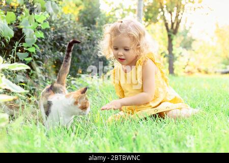 Belle blonde courbé enfant fille jouer avec chat domestique sur pelouse en été. Bonne enfance en été dans la cour. petite fille caucasienne Banque D'Images