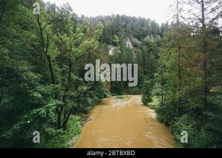 L'eau sale coule dans une montagne Hornad rivière, après la pluie dans le canyon du parc national slovaque paradis, Slovaquie Banque D'Images