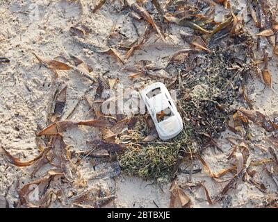 Pollution plastique - modèle en plastique blanc d'une voiture de sport Porsche lavée parmi les algues emmêlées sur une plage de sable à Malindi, sur la côte du Kenya, en Afrique Banque D'Images