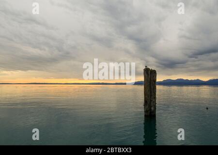 Vue panoramique sur le lac avec un poteau d'amarrage, ciel orageux et la côte en arrière-plan au coucher du soleil, Lac de Garde, Lazise, Vérone, Vénétie, Italie Banque D'Images