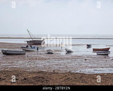 Les pêcheurs sur la plage s'éparpillés avec des algues au milieu des bateaux modernes et d'une bouée traditionnelle à marée basse dans la lumière du matin à Malindi, sur la côte du Kenya, en Afrique Banque D'Images