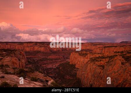 AZ00392-00...ARIZONA - coucher de soleil prolongé au crépuscule tournant le paysage une délicate orange vue de la Canyon View Trail dans le monument national Navajo, Banque D'Images