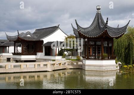 Jardin chinois, Dunedin, quartier central des affaires, quartier Otago, Île du Sud, Nouvelle-Zélande Banque D'Images