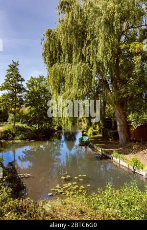 Hortillonnages d'Amiens, somme, France Banque D'Images