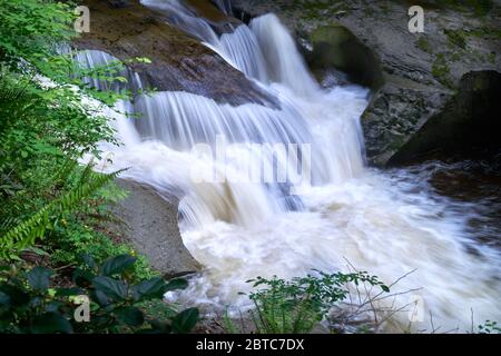 Parc de Kanaka Creek de Cliff Falls. Eau qui coule au-dessus des chutes Cliff dans le parc régional de Kanaka Creek. Banque D'Images