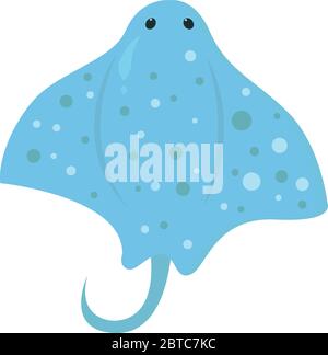 Angelshark , illustration, vecteur sur fond blanc Illustration de Vecteur