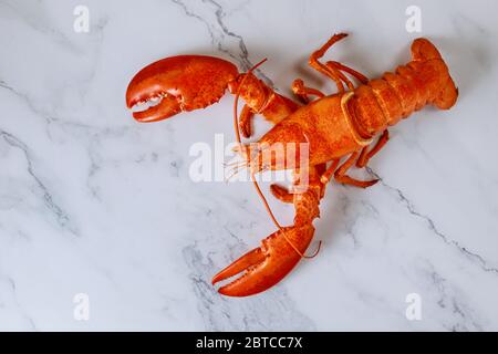 Vue de dessus de délicieux homard fraîchement cuit à la vapeur sur une plaque d'ardoise blanche Banque D'Images