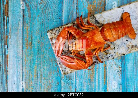 Homard rouge à la vapeur sur une planche à découper en bois avec sur une assiette en ardoise Banque D'Images