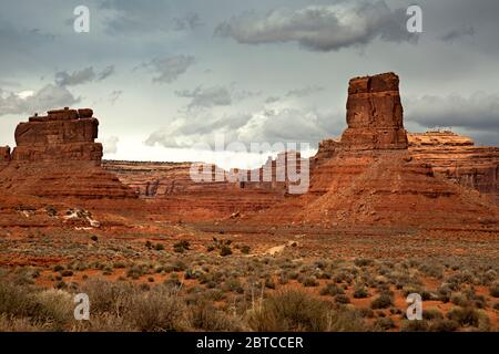 UT00588-00....UTAH - les flèches et les buttes s'élèvent au-dessus des prairies dans la vallée des dieux. Banque D'Images