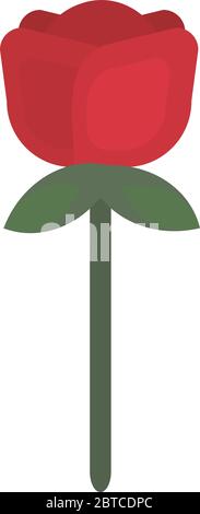 Fleur rose rouge , illustration, vecteur sur fond blanc Illustration de Vecteur