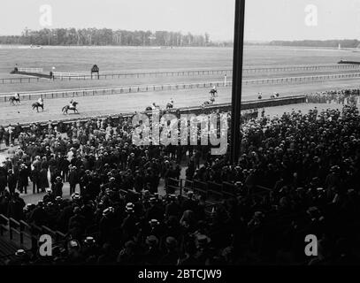 Début de course, Belmont Race Track CA. 1913 Banque D'Images