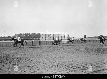 Les carillons d'or remportent la 5ème place à Belmont CA. 1913 Banque D'Images