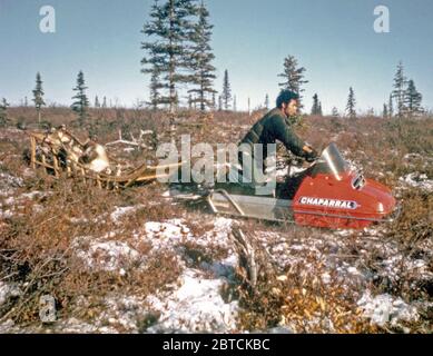 10/7/1972 - Chasseur de caribou, Ambler Alaska area, with dead Caribou Banque D'Images