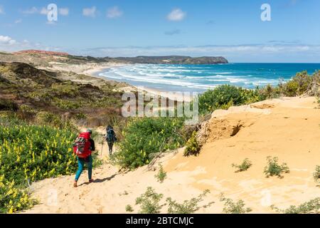 Deux randonneurs marchant sur une piste côtière, faisant partie de te Araroa, le sentier longue distance de Nouvelle-Zélande, Nouvelle-Zélande, octobre 2019 Banque D'Images