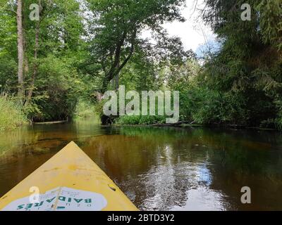 Canoë sur la rivière entourée d'arbres Banque D'Images