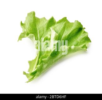 Feuille de salade isolée sur fond blanc. Vue de dessus des feuilles de laitue. Banque D'Images