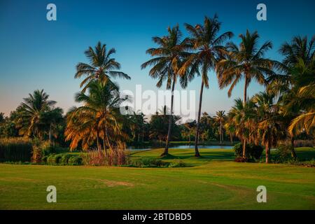 Golf à l'île tropicale Banque D'Images