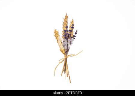 Fleur de lavande et graines de blé dans un beau bouquet biologique isolé sur fond blanc Banque D'Images