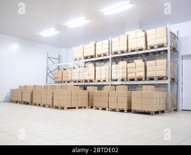 Réfrigérateur moderne d'entrepôt produits finis dans des boîtes en carton, arrière-plan. Concept de stockage pharmaceutique Banque D'Images