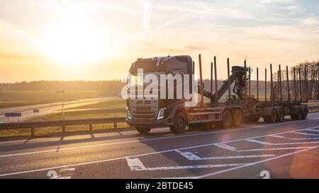 Moderne, élégant et fiable camion en bois avec un manipulateur se déplace sur l'autoroute contre le coucher du soleil Banque D'Images