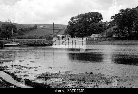 Train diesel de classe 142 n° 142022 avec service Liskeard to Looe, Cornwall, Angleterre, Royaume-Uni. 19 juin 1986. Banque D'Images