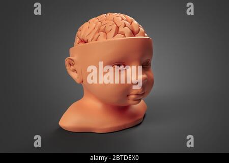 Modèle en argile de la tête et du cerveau de l'enfant. Illustration 3d conceptuelle pouvant être utilisée dans de nombreux domaines de la science et de la médecine Banque D'Images