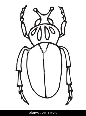 Illustration vectorielle du scarabée, dessin à la main, style de caniche, page de livre de coloriage. Insecte. Illustration de Vecteur