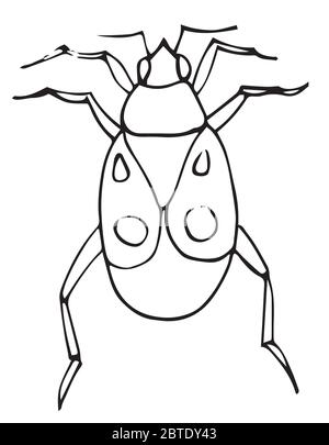 Page de livre de coloriage d'insectes, bug d'illustration de contour de vecteur. Illustration de Vecteur