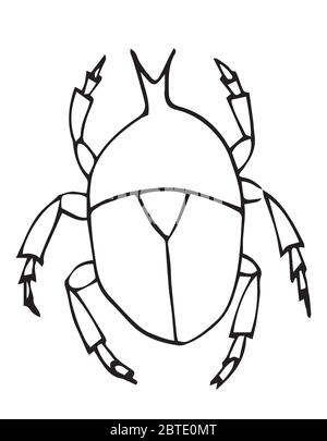 Vecteur de contour de bogue, isolé sur fond blanc, livre de pages de coloriage. Insecte. Illustration de Vecteur