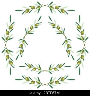 Ensemble de cadres ronds - branches d'olive. Arrière-plan blanc Illustration de Vecteur
