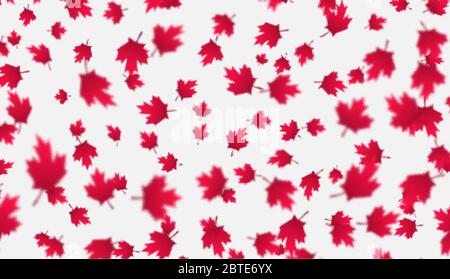 Arrière-plan des feuilles d'érable rouge tombant. Fête du Canada, concept de célébration du 1er juillet. Feuillage d'automne volant. Illustration de Vecteur