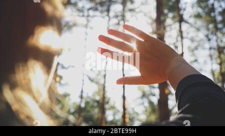 Gros plan photo du soleil qui brille à travers les doigts et les mains des femmes dans la forêt Banque D'Images