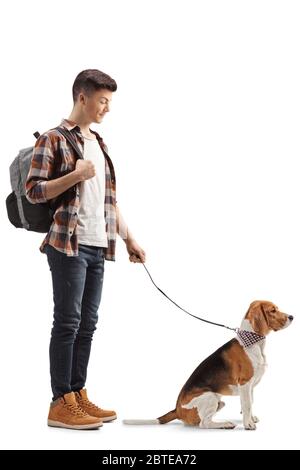 Prise de vue en longueur d'un étudiant debout avec un chien de beagle sur une plomb isolée sur fond blanc Banque D'Images